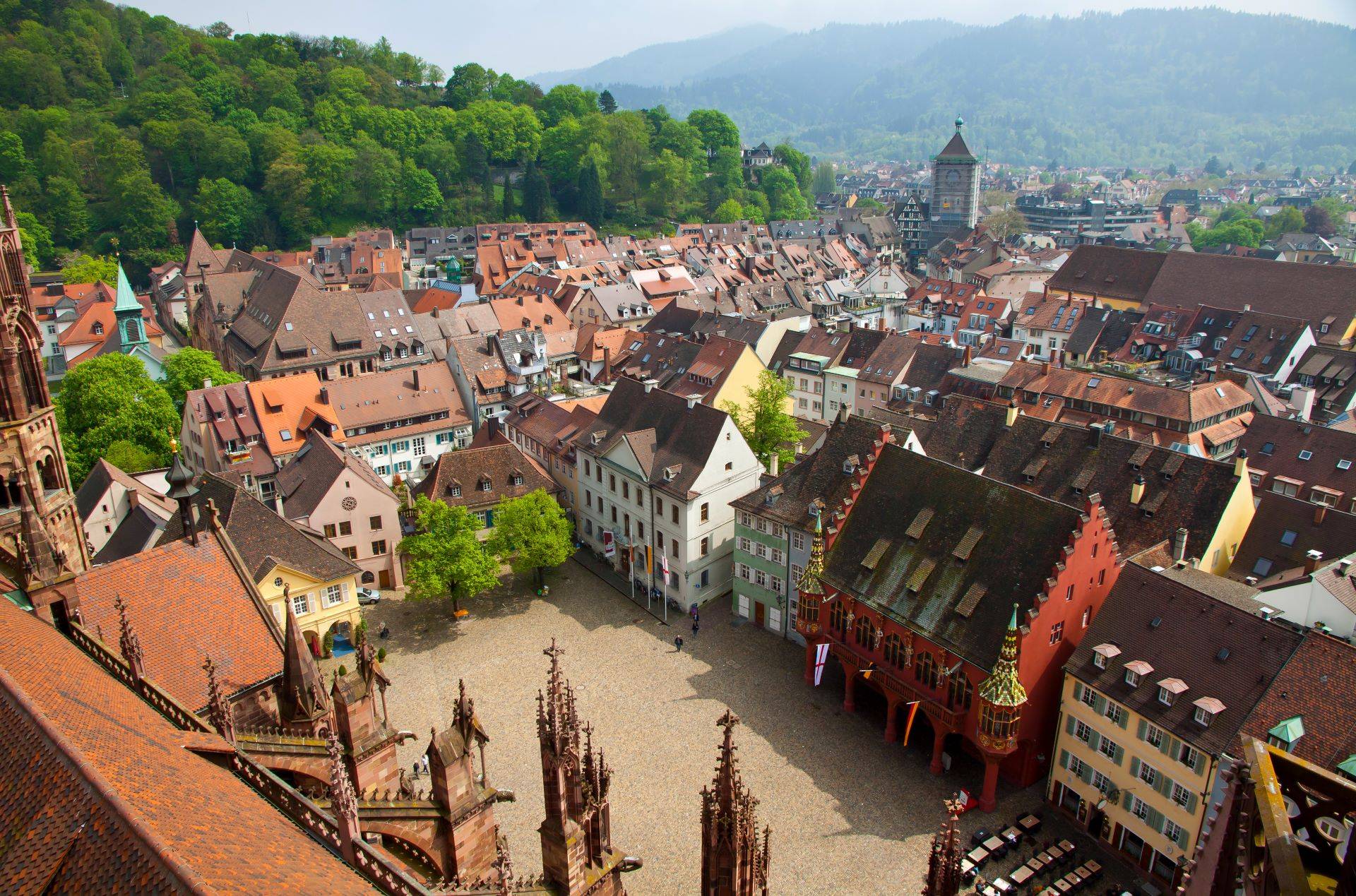 Blick über die Altstadt von Freiburg mit Bergpanorama